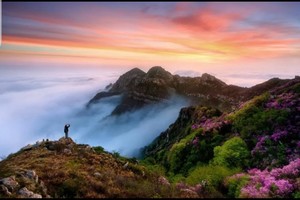 大别山秘境/麻城杜鹃/老君山/鸡公山/5A天柱山/大别山最高峰白马寨/天堂寨