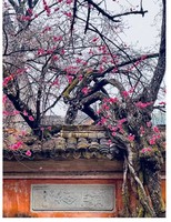 诗意江南/普陀山/隋代国清寺/雁荡山/绍兴水乡/奉化蒋氏故居/水桶岱