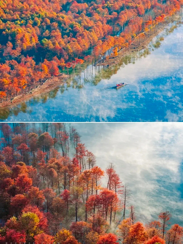 观赏皖南独特的秋景，错过再等一年_4_zc793588253_来自小红书网页版.jpg