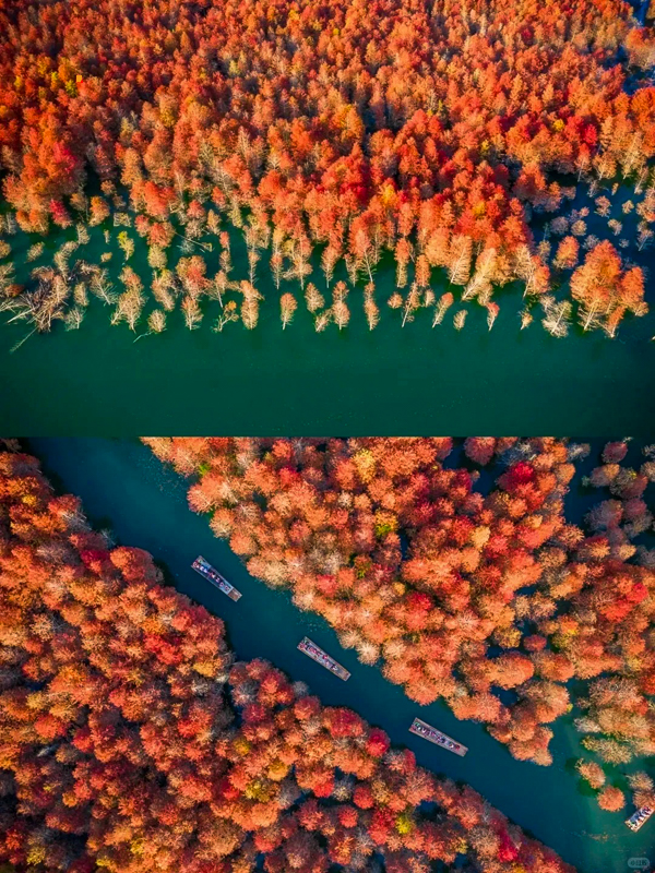 观赏皖南独特的秋景，错过再等一年_3_zc793588253_来自小红书网页版.jpg