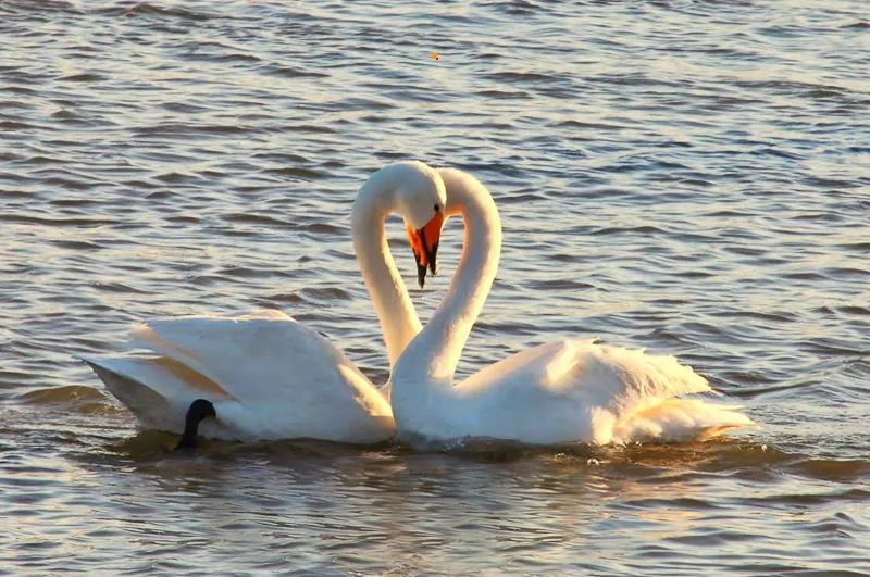 1671023950482117.jpg 图片