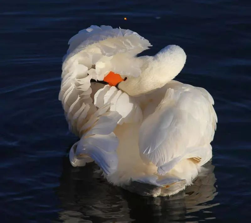 1671023951407218.jpg 图片