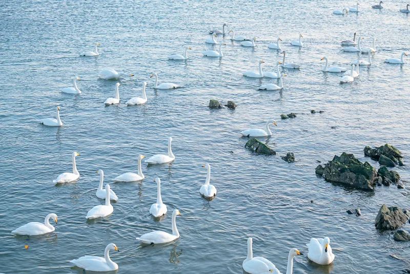 1671024022512999.jpg 图片