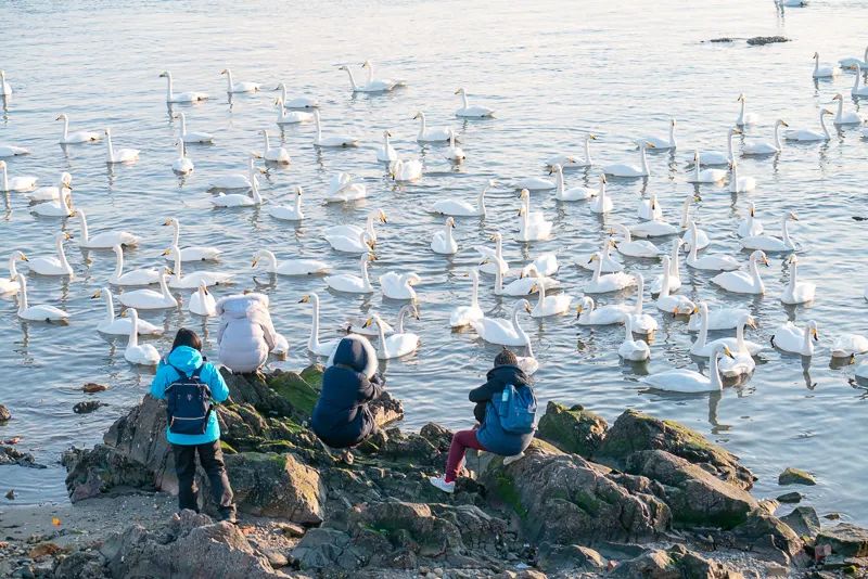 1671024118269155.jpg 图片