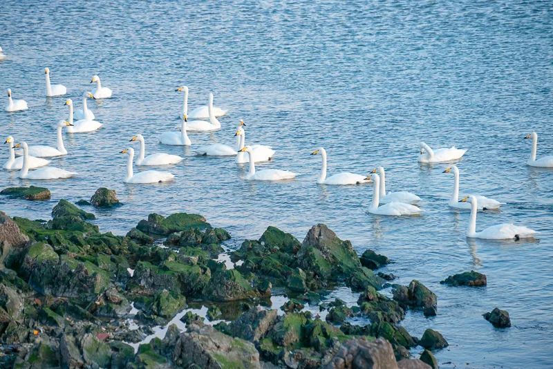 1671024119325325.jpg 图片