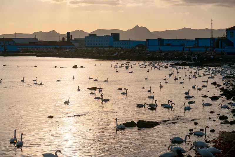 1671024132989637.jpg 图片