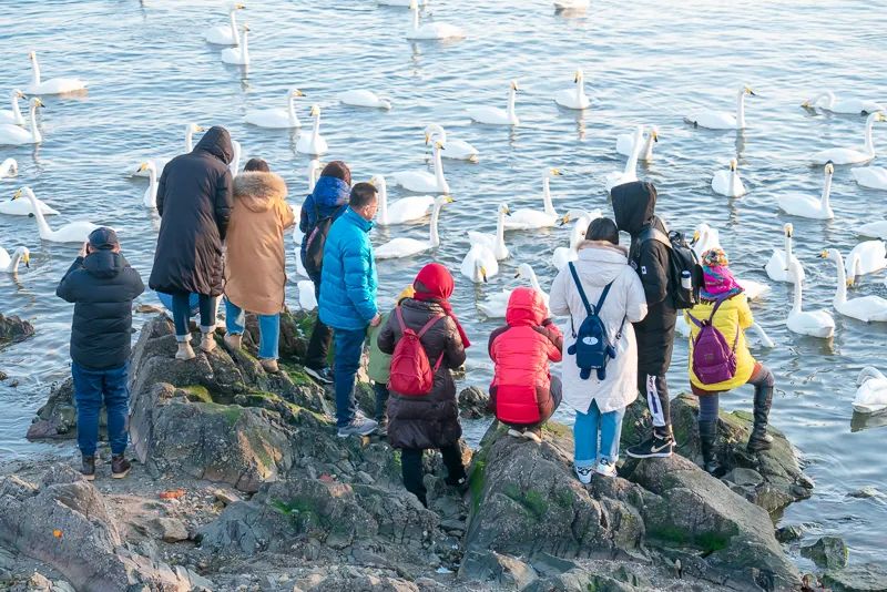 1671024133516017.jpg 图片