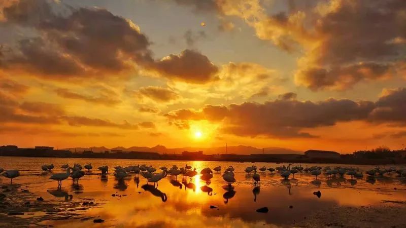 1671023704304955.jpg 图片