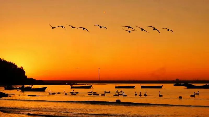 1671023924609765.jpg 图片