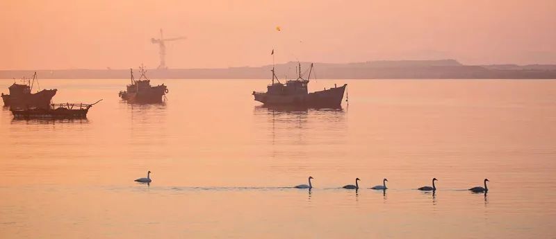 1671023933734224.jpg 图片