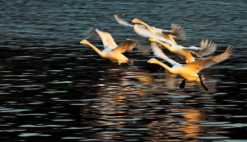 1671023989671280.jpg 图片