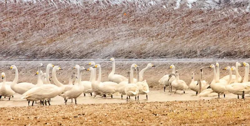 1671023990668551.jpg 图片