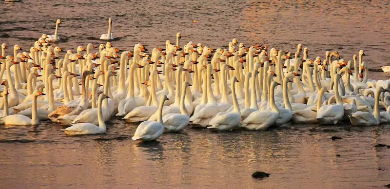 1671024154747355.jpg 图片