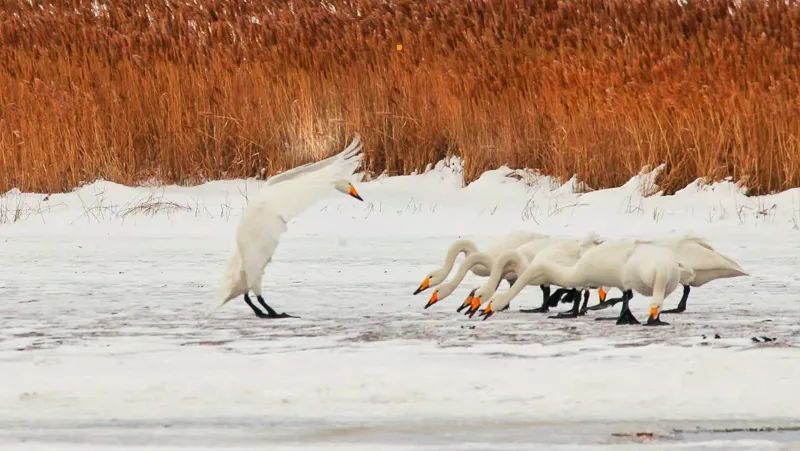 1671024155907680.jpg 图片