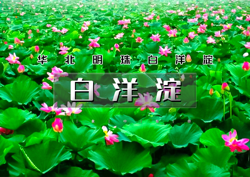 ▌▌印象头图.jpg