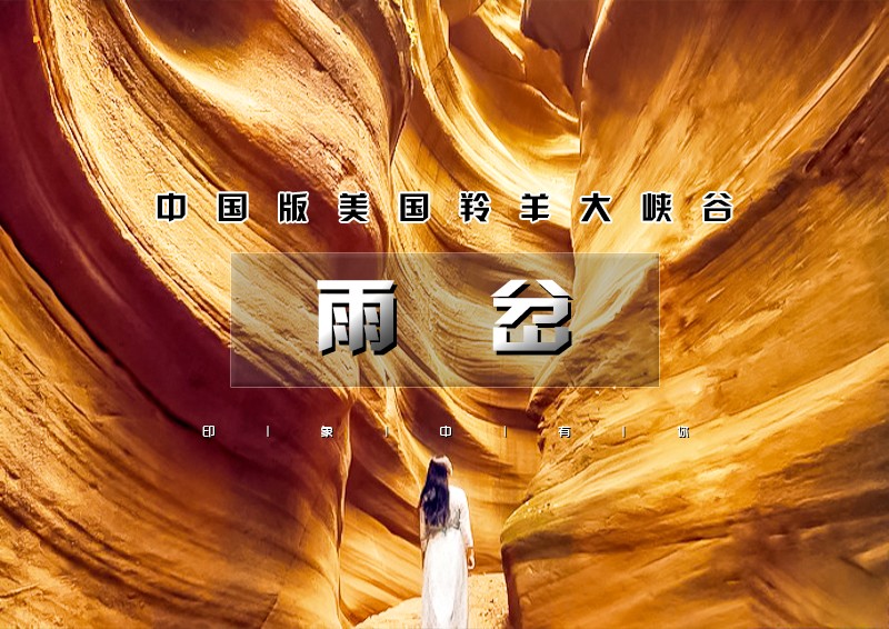 印象头图模版2D.jpg