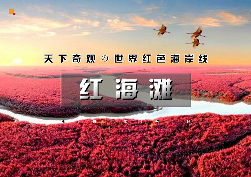 印象头图模版D3.jpg