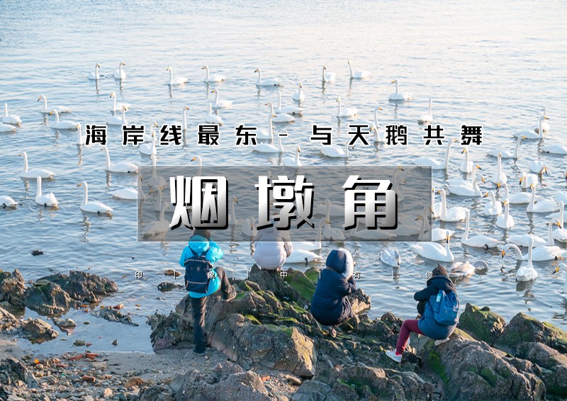 ▌▌印象头图1.jpg