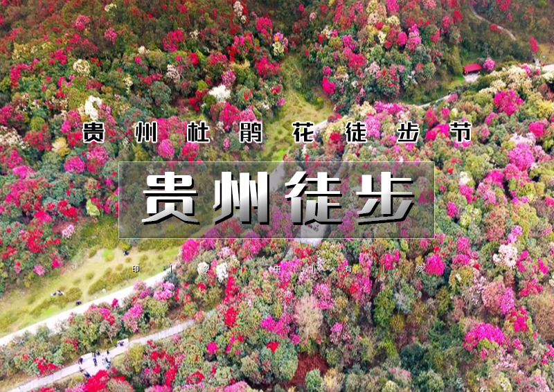 ▌▌印象头图.jpg