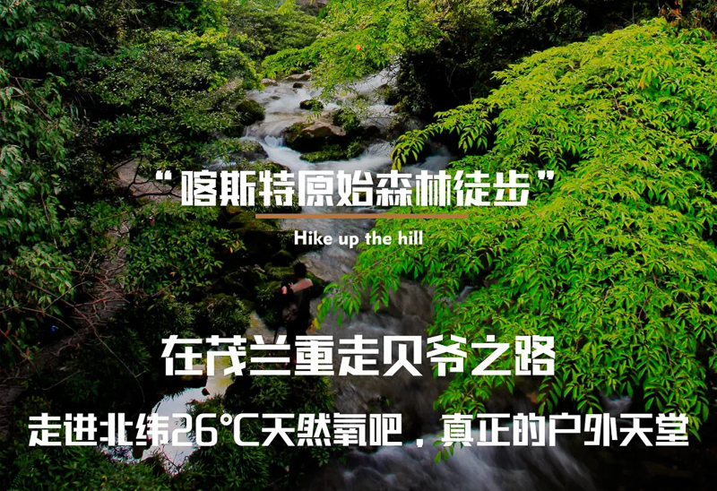 fec9fc0c3037a7775e7fb83df25c751a-sz_1063976.webp.jpg