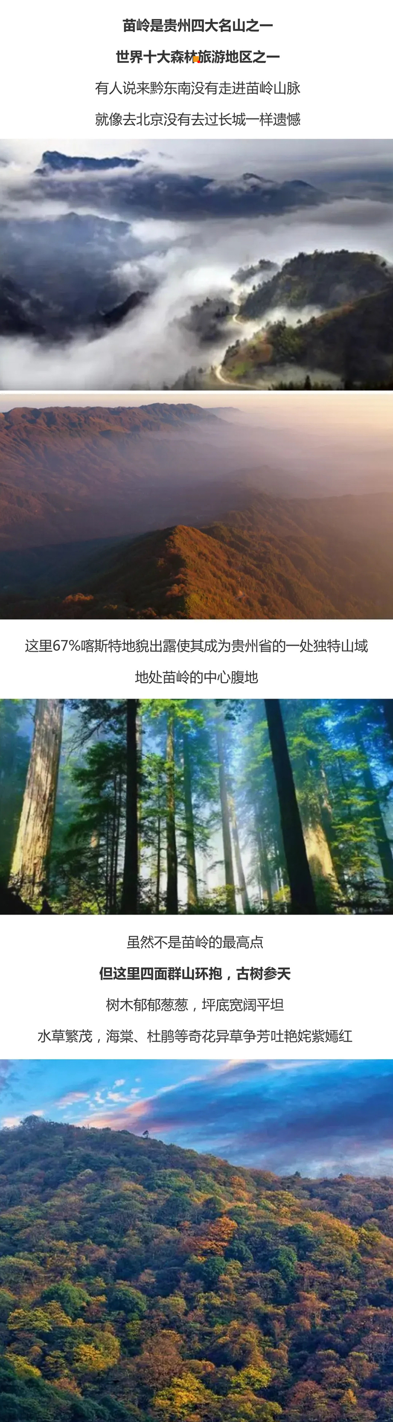 8d5fe9ae7cc7f02ba1ae1250a11a9bc4-sz_1814363.webp.jpg
