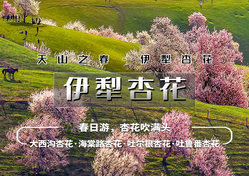▌▌印象头图.jpg