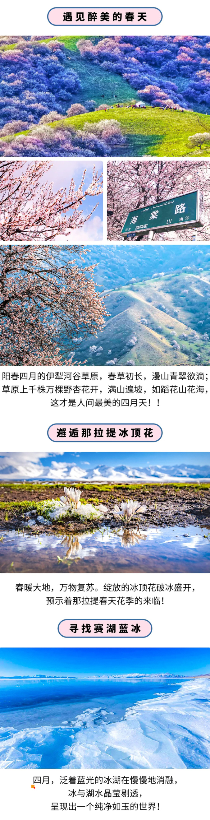 94d674eca0067466d4418a13ea336ffa-sz_7740212.webp.jpg