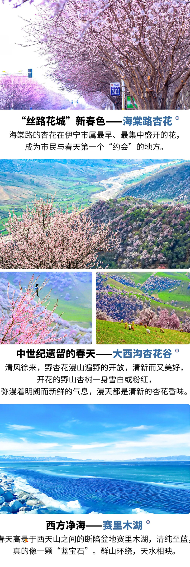 4e6d45b613a09de115aaa2a006e042fb-sz_6784476.webp.jpg