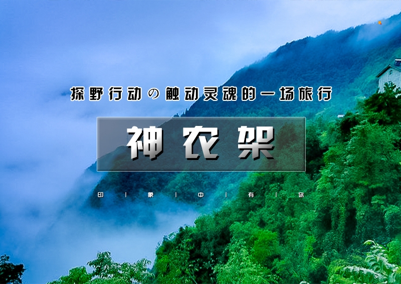 印象头图模版D.jpg