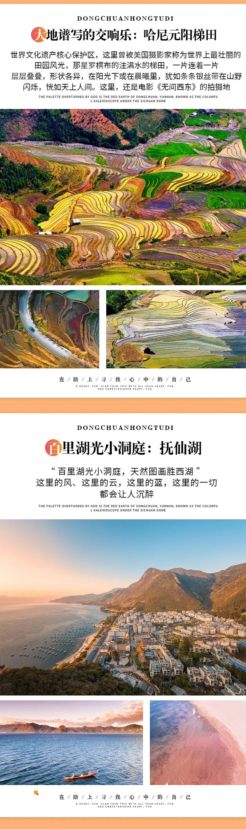 d4f2954954de4a1e10894a50437803a4-sz_2499573.webp.jpg