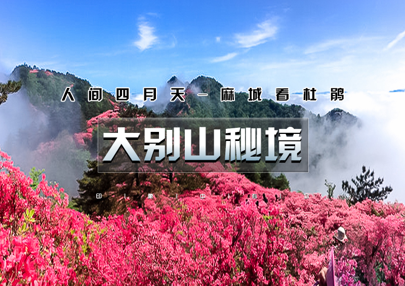▌ 印象头图.jpg