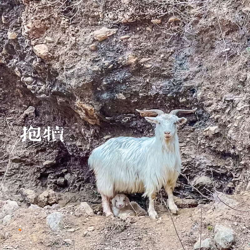 微信图片_202304021338093.jpg