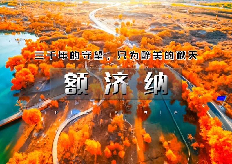 ▌▌印象头图.jpg