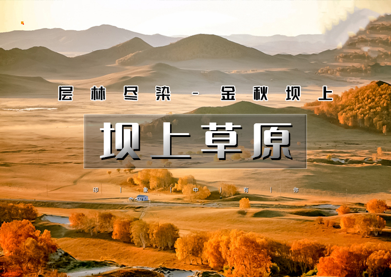 ▌▌印象头图.jpg
