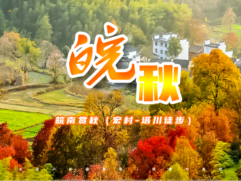 头图.jpg