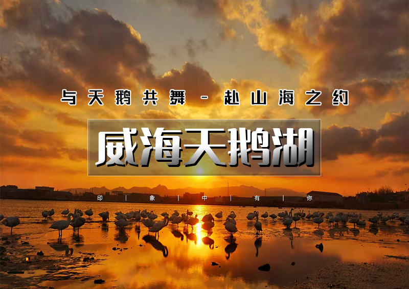 ▌▌印象头图.jpg