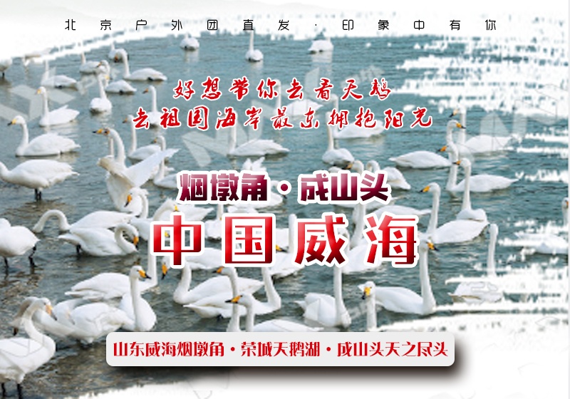头1.jpg