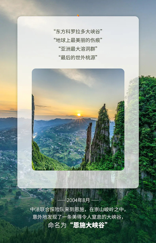 2a3cdb2ce00713c748e6dac6d9cf8f8c-sz_914511.webp.jpg