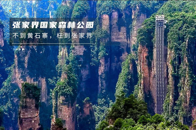 008.jpg