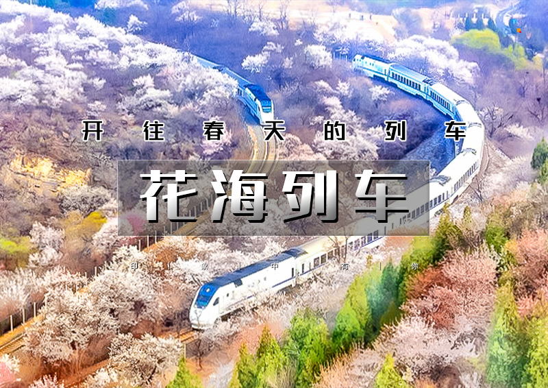 ▌▌印象头图.jpg