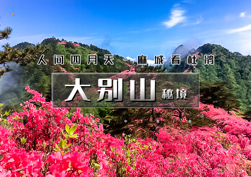 ▌▌印象头图.jpg