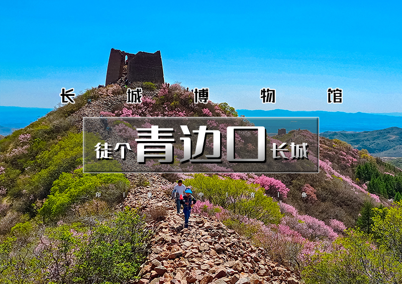 ▌▌印象头图.jpg