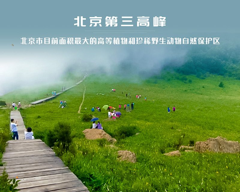 ★印象细图A1.jpg