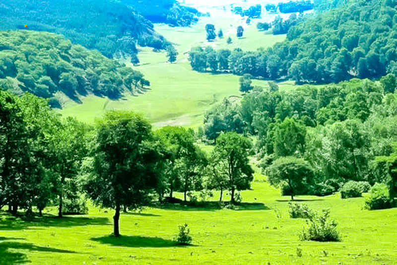 u=432851553,1462240690&fm=26&fmt=auto&gp=0.webp.jpg