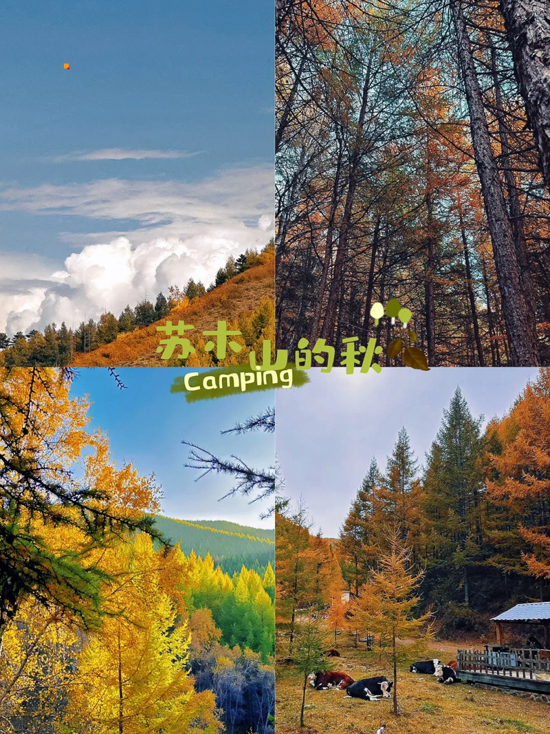 秋天快来苏木山观赏秋景啊_1_QuuBait._来自小红书网页版.jpg