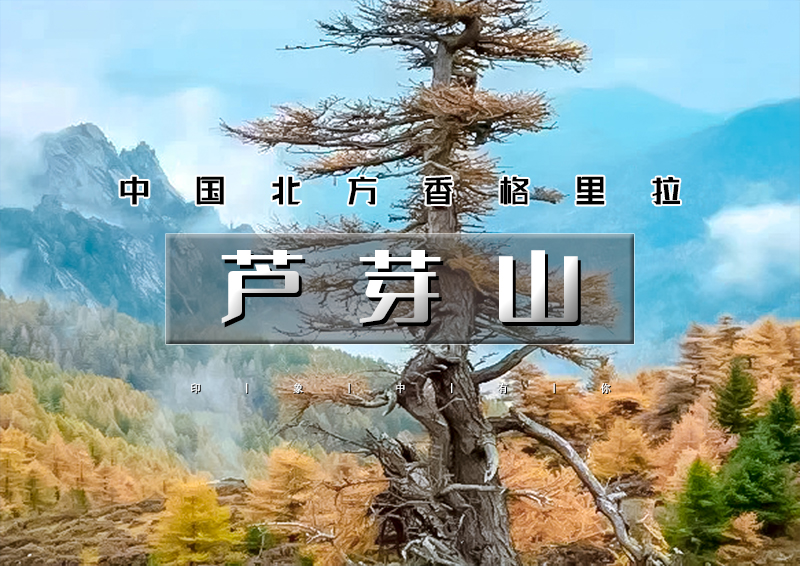 ▌▌印象头图.jpg