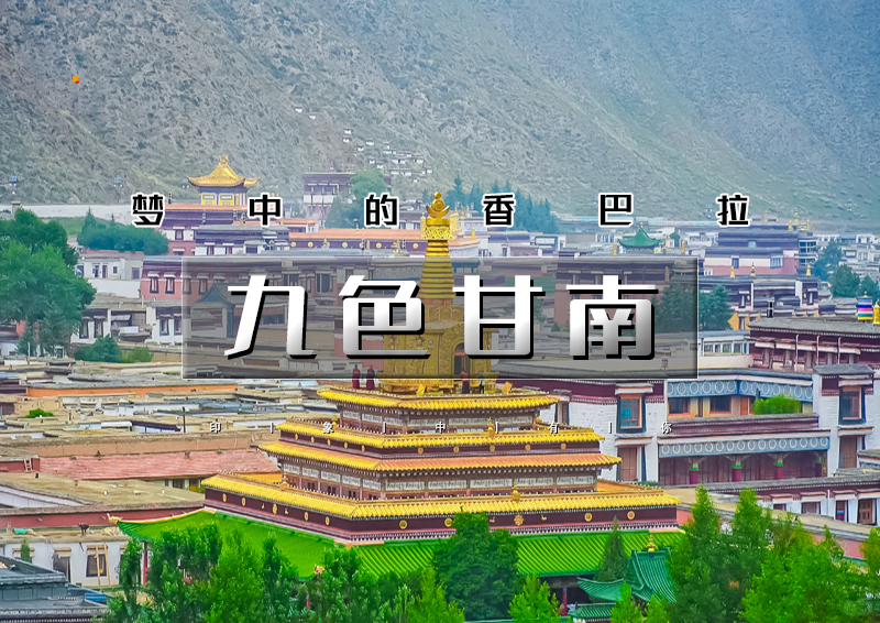 ▌▌印象头图.jpg