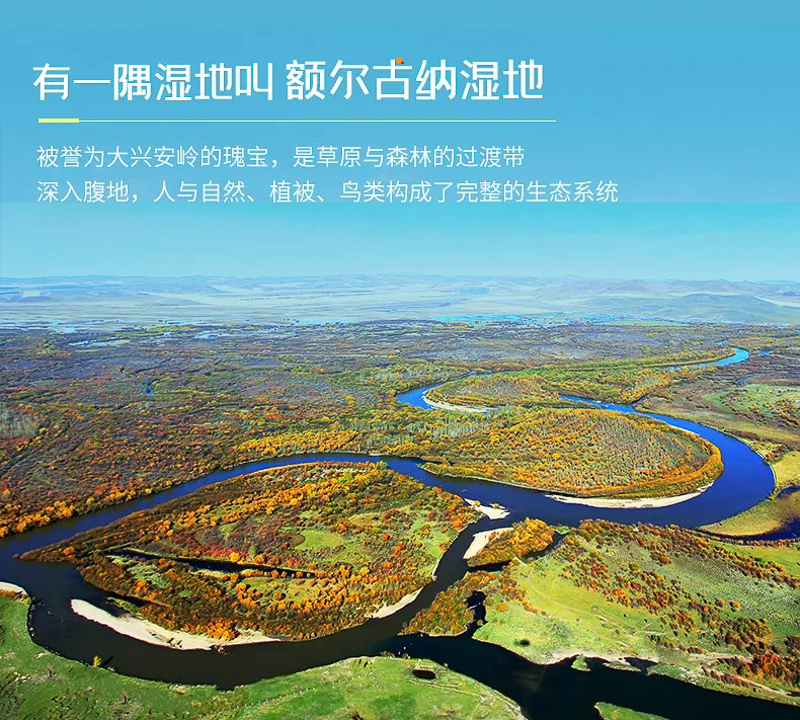 7d153f769065172f331d7f86da90c900-sz_669000.webp.jpg