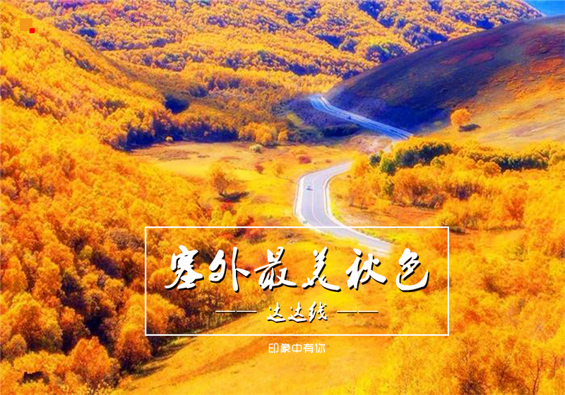 头图-2.jpg