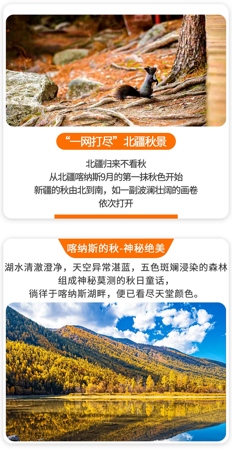 f6e433506aebe67dd9f4e57a83073b10-sz_12726151.webp_01.jpg